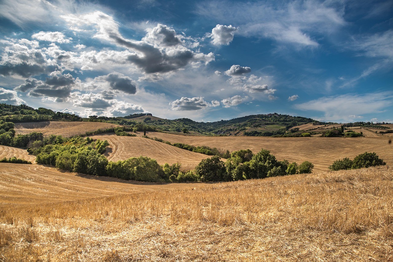 collines, ciel bleu, des nuages, terres agricoles, des champs, prairies, ciel, nature, paysage, sur le terrain, l'été, rural, italie, agricole, tuscany, la campagne, ciel bleu, prairies, ciel, ciel, italie, agricole, agricole, agricole, agr