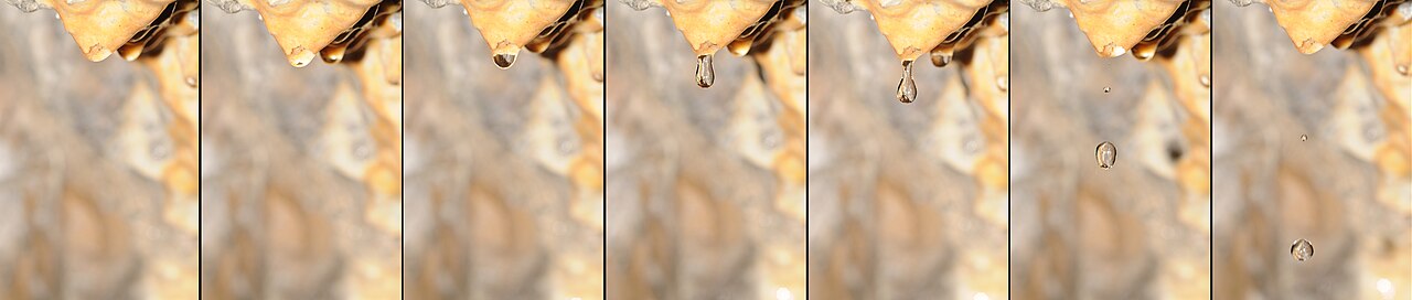 Séquence montrant la formation et la chute d’une goutte d’eau au bout d’une stalactite.